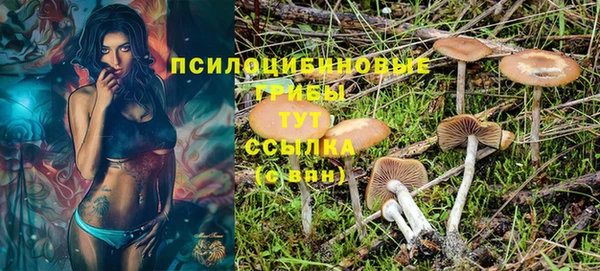 эйфоретик Верхний Тагил