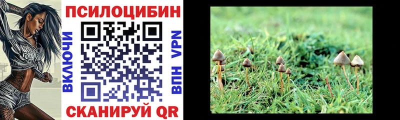 Псилоцибиновые грибы мухоморы  Нижневартовск 